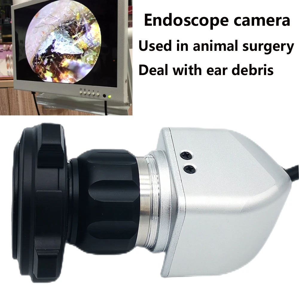 Kulak Temizleme Endoskop Hayvan Tıbbi Veteriner Endoskop Kamera Taşınabilir Veteriner Endoskopi Kamera Kafası ve Çoğaltıcı