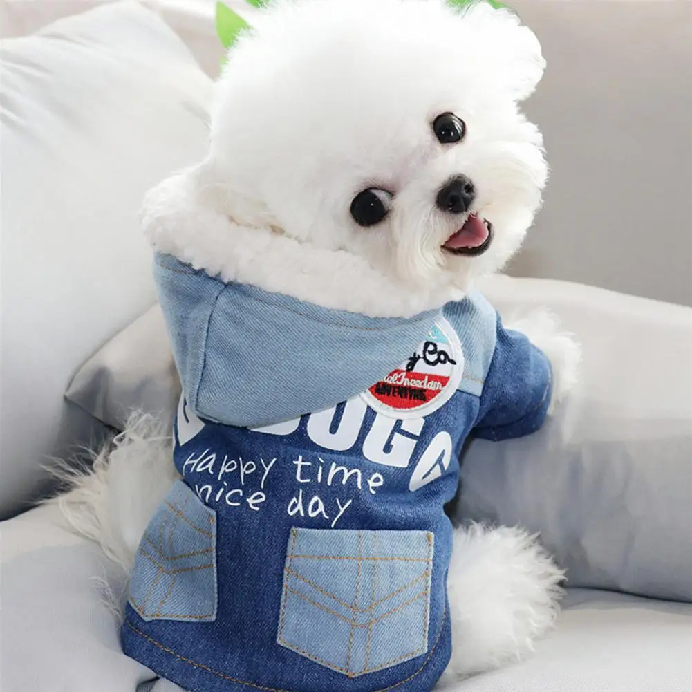 Köpek Kazak Mektubu Baskı Cosplay Sıcak Moda Pet Köpekler kapüşonlu ceket Pet Ceketler Şık Ürünler Sıcaklık Tutmak Kış