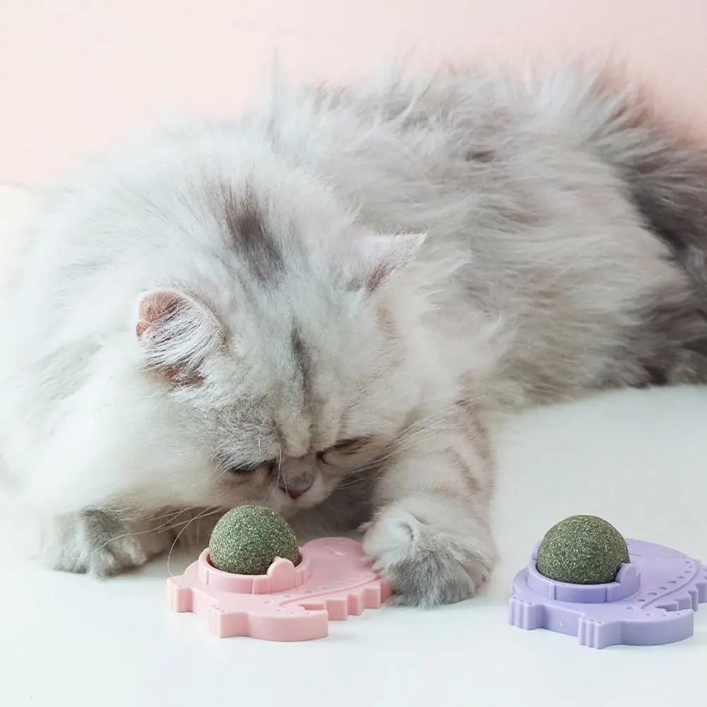 Kedi Catnip Topu Dönebilen Yenilebilir Yalama Topları Nane Topu Yavru Diş Temizleme Oyuncaklar Pet Sağlık Kaynağı